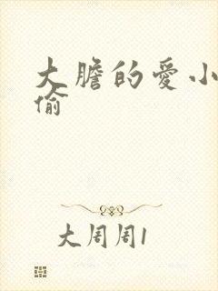 大胆的爱小心的偷