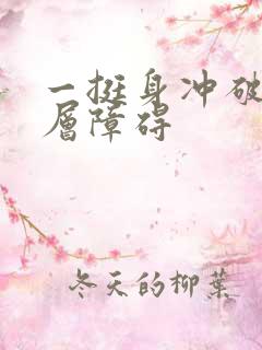 一挺身冲破了那层障碍