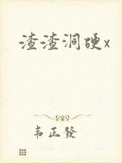 渣渣洞硬x