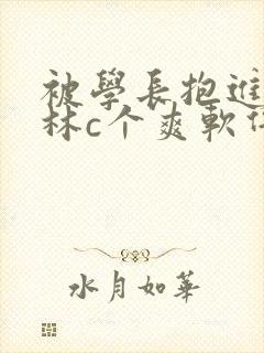 被学长抱进小树林c个爽软件