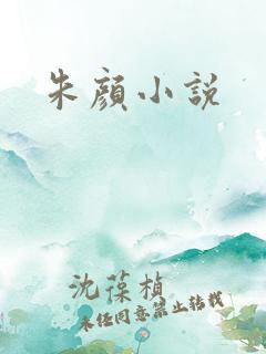 朱颜小说