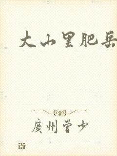 大山里肥岳小说