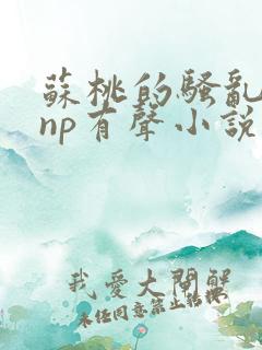 苏桃的骚乱文肉np有声小说