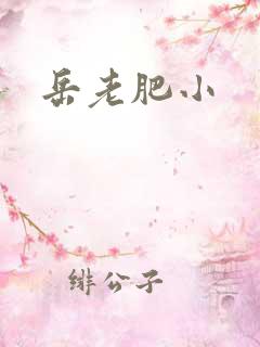岳老肥小