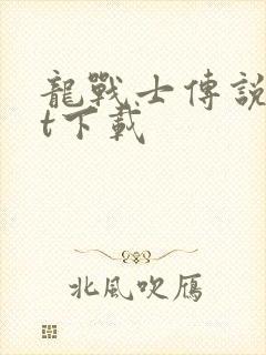 龙战士传说txt下载