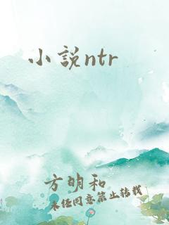 小说ntr
