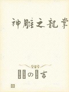 神雕之龙掌门