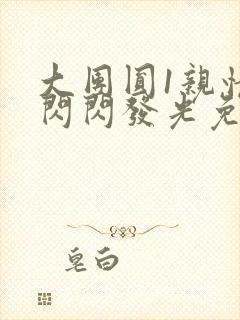 大团圆1亲情会闪闪发光免费