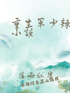 重生军少辣娇妻小说