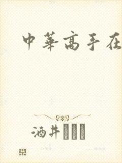 中华高手在异世