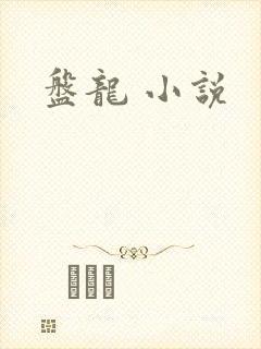 盘龙 小说
