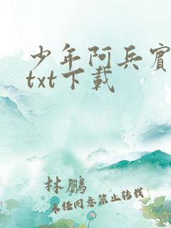 少年阿兵宾小说txt下载