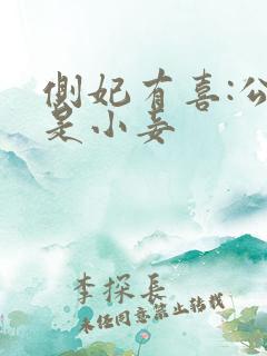 侧妃有喜:公主是小妾