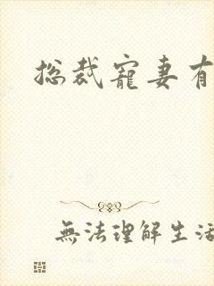 总裁宠妻有点忙