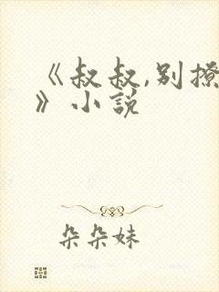 《叔叔,别撩我》小说