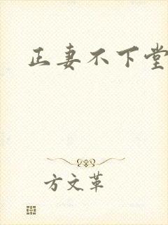 正妻不下堂