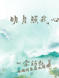 明月照我心小说