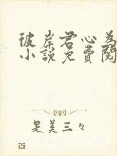 彼岸君心为我倾小说免费阅读