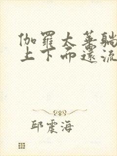 伽罗太华躺在床上下面还流东西