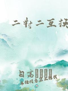 二对二互换共享