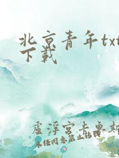 北京青年txt下载