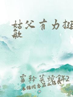 姑父有力挺送赵敏