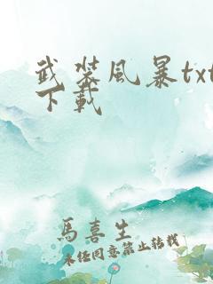 武装风暴txt下载