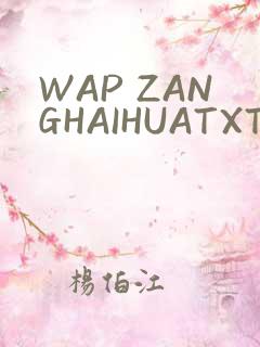 WAP ZANGHAIHUATXT