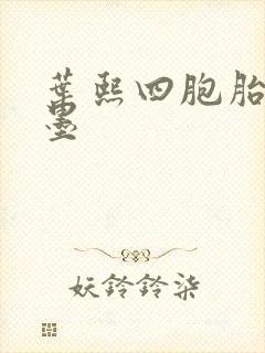 叶熙四胞胎厉子墨