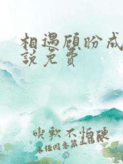 相遇顾盼成欢小说免费