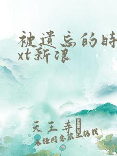 被遗忘的时光txt新浪