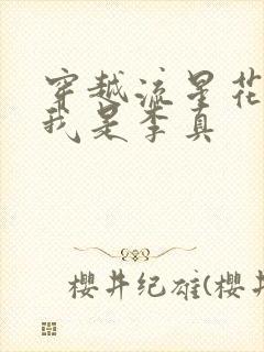 穿越流星花园之我是李真