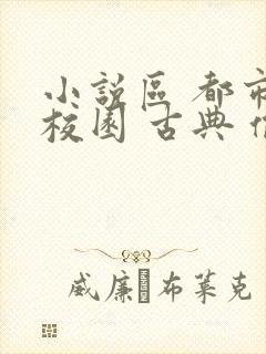 小说区 都市 校园 古典 偷拍