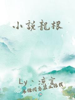 小说龙根