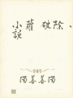 小萝 破除 小说