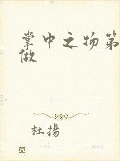 掌中之物第一次做