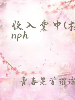 收入囊中(校园nph