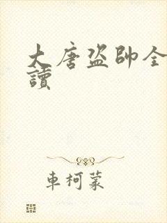 大唐盗帅全文阅读