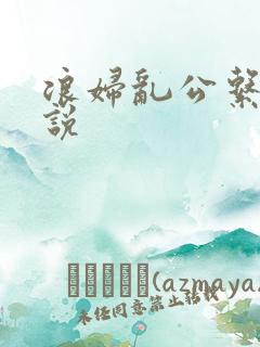 浪妇乱公系列小说