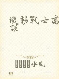 机动战士高达小说