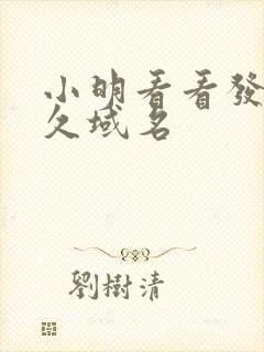 小明看看发布永久域名