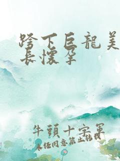 跨下巨龙美妇市长怀孕