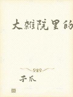 大杂院里的女人