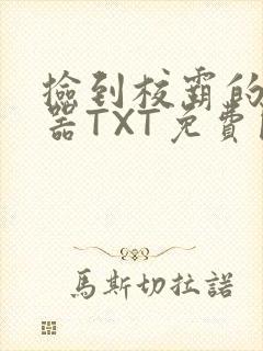 捡到校霸的遥控器TXT免费阅读