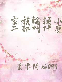 家族轮换小说第二部叫什么名字