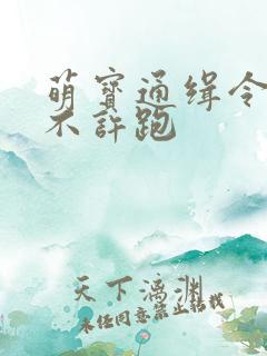 萌宝通缉令妈味不许跑