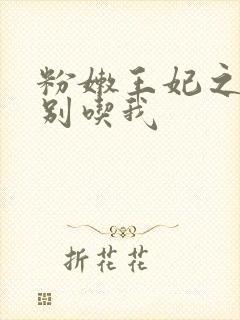 粉嫩王妃之殿下别吃我