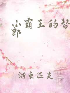 小霸王的替婚玉郎