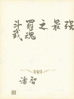 斗罗之最强治疗武魂