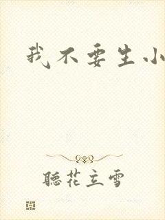 我不要生小孩儿